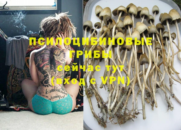 PSILOCYBIN Алексеевка