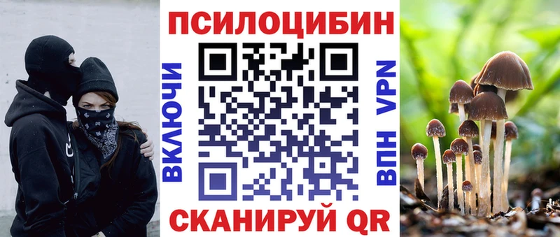 Галлюциногенные грибы Cubensis  купить закладку  Кириши 