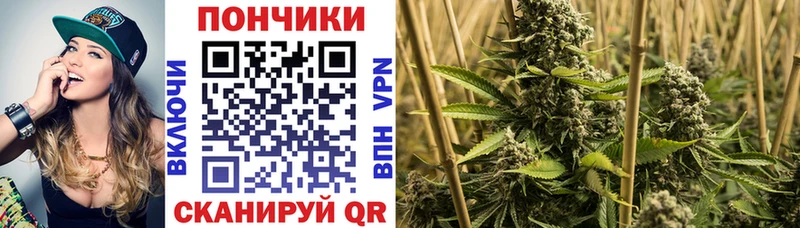omg tor  Кириши  МАРИХУАНА сатива 